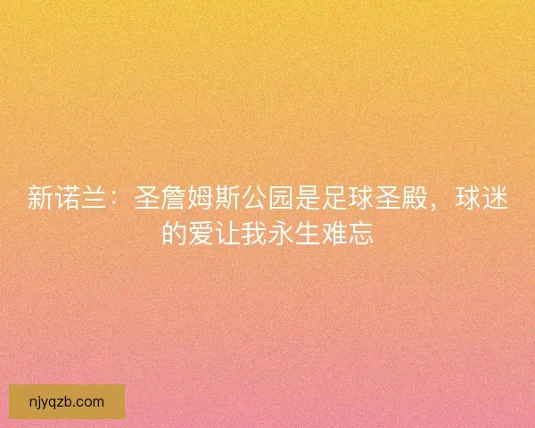 新诺兰：圣詹姆斯公园是足球圣殿，球迷的爱让我永生难忘